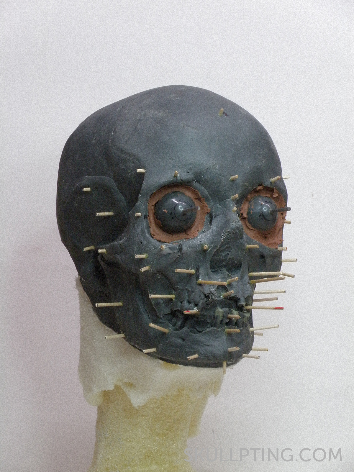 the replica of the skull with pegs to show the tissue thicknesses